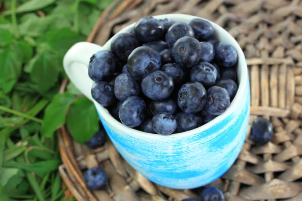 Blaubeeren im Becher auf Korbblech auf Gras — Stockfoto