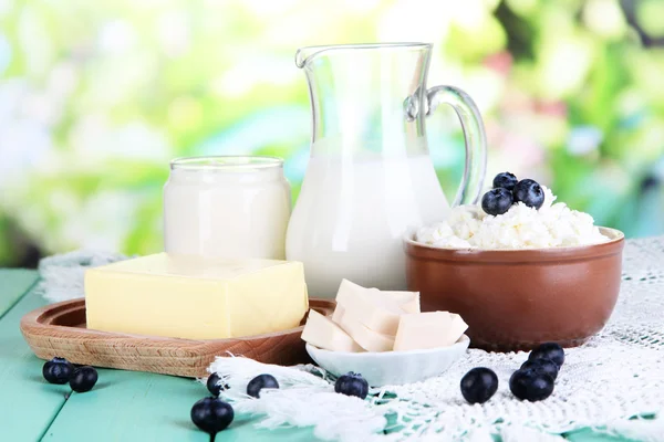 Fresh dairy products with blueberry on wooden table on natural background — Stock Photo, Image