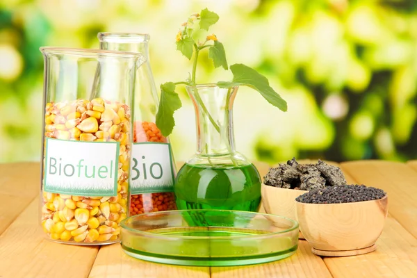 Conceptual photo of bio fuel. On bright background — Zdjęcie stockowe