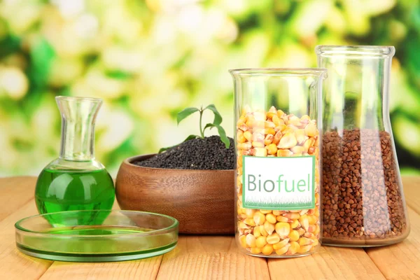 Conceptual photo of bio fuel. On bright background — Zdjęcie stockowe