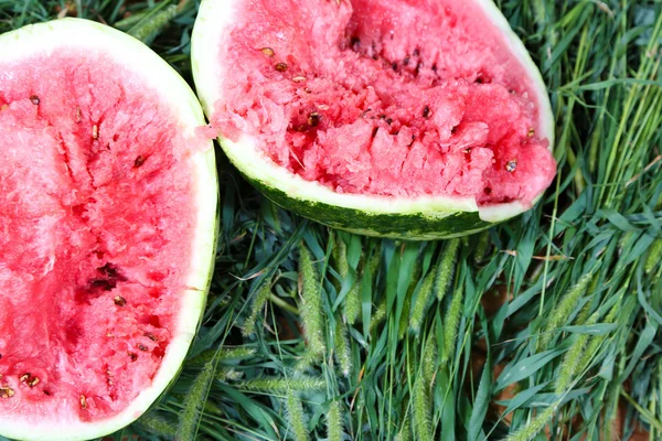 Ripe cracked watermelon on grass — Stock Photo, Image