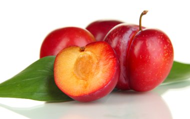 Olgun erikler beyazda izole edilmiş.