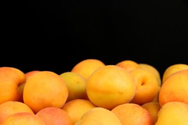 siyah arka plan üzerine taze Naturel kayısı