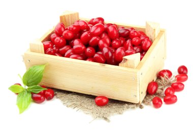 ahşap sandık, taze cornel meyveleri üzerinde beyaz izole