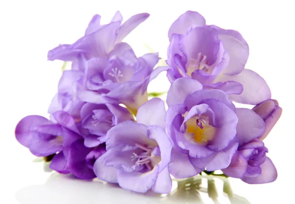 Hermoso ramo de freesias, aislado en blanco — Foto de Stock