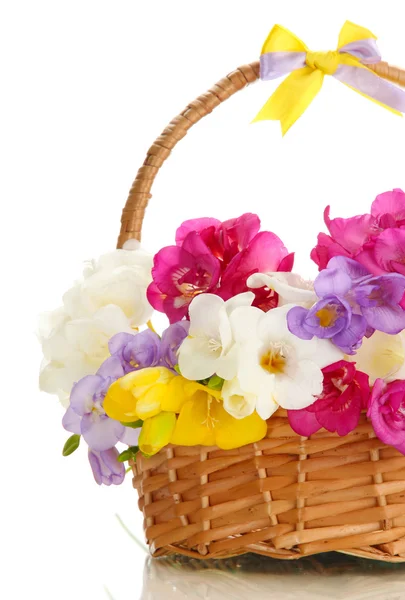 Hermoso ramo de freesias en cesta, aislado en blanco — Foto de Stock