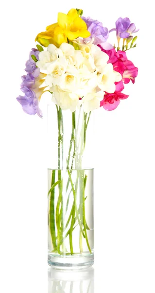 Hermoso ramo de freesias en jarrón transparente, aislado en blanco — Foto de Stock