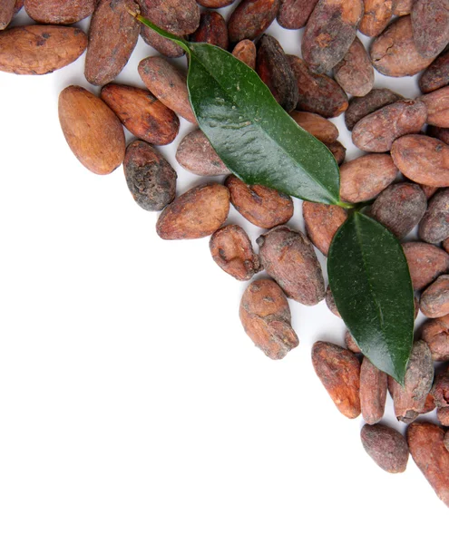 Cacao bonen met bladeren geïsoleerd op wit — Stockfoto