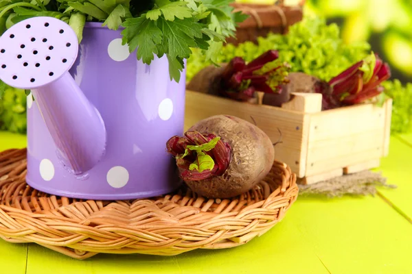 Jonge bieten op houten doos op houten tafel close-up — Stockfoto