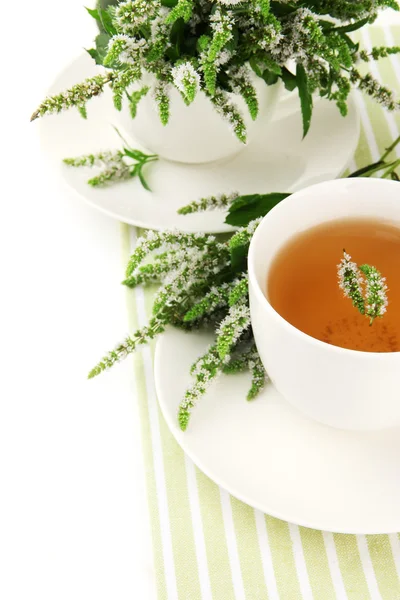 Cup of herbal tea with fresh mint flowers isolated on white — Stock Photo, Image