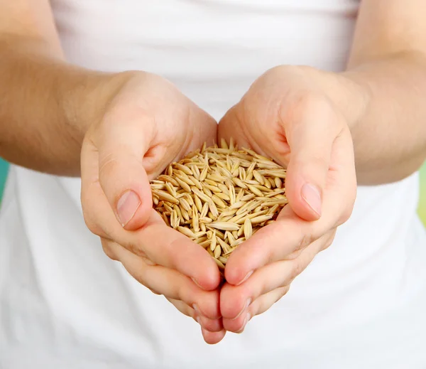 Wheat grain in female hands on natural background — Stock Photo, Image