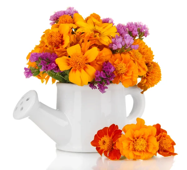 Bouquet of marigold flowers in watering can isolated on white — Stock Photo, Image