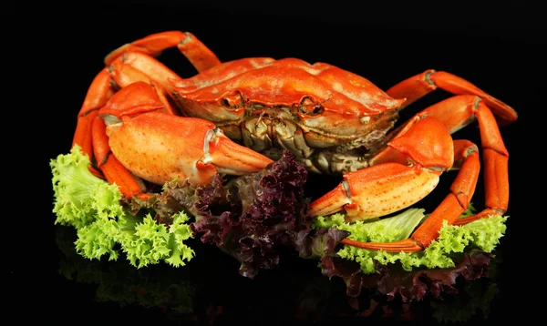 Boiled crabs isolated on black — Stock Photo, Image
