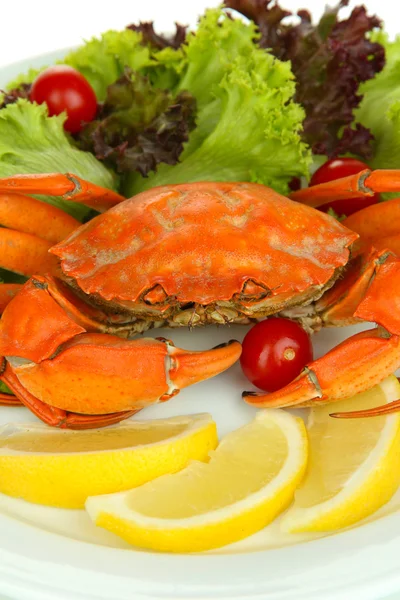 Cangrejo hervido en plato blanco con hojas de ensalada y tomates, primer plano —  Fotos de Stock