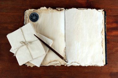 Vieja madera en el bosque