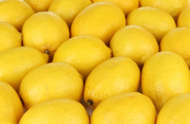 Olgun limon yakın çekim
