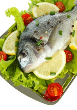 Dorado balığı yakın çekim