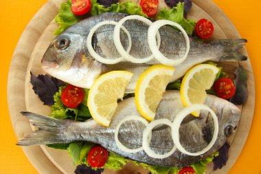 Dorado balığı üzerinde tablo yakın çekim