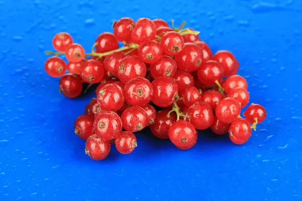 Redcurrants on blue background — Stock Photo, Image