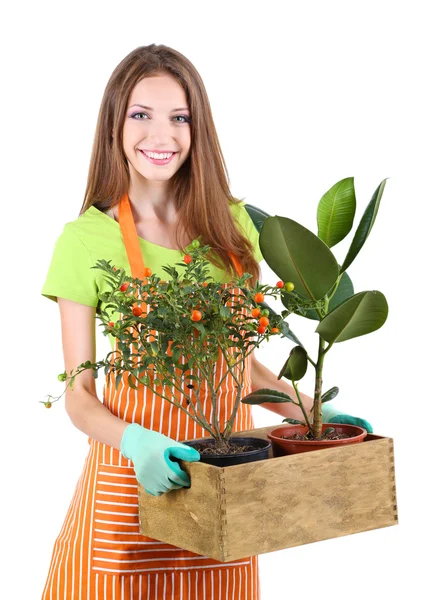 Hermosa chica jardinero con flor aislada en blanco — Foto de Stock