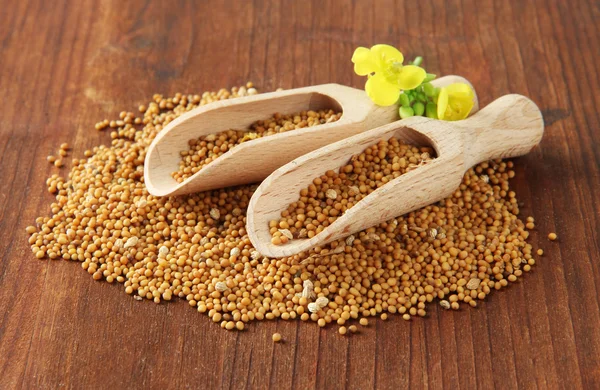 Mustard seeds with mustard flower on wooden background — Stock Photo, Image