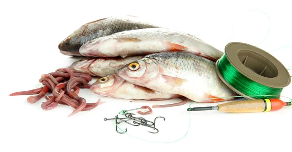 Peces y herramientas de pesca aislados en blanco —  Fotos de Stock
