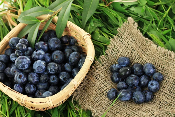 Bleuets dans un panier en bois et sac sur l'herbe — Photo