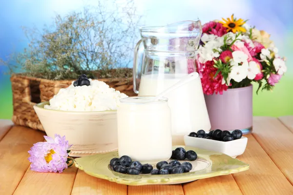 Fresh dairy products with blueberry on wooden table close-up — Stock Photo, Image