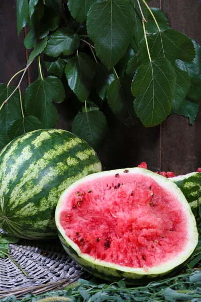 Ripe watermelons on wicker tray on grass near fence — Stock Photo, Image