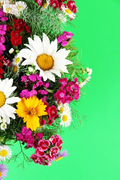 Beautiful bright flowers on green background — Stock Photo, Image