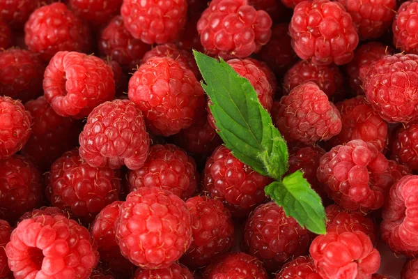 Ripe sweet raspberries, close up — Stock Photo, Image