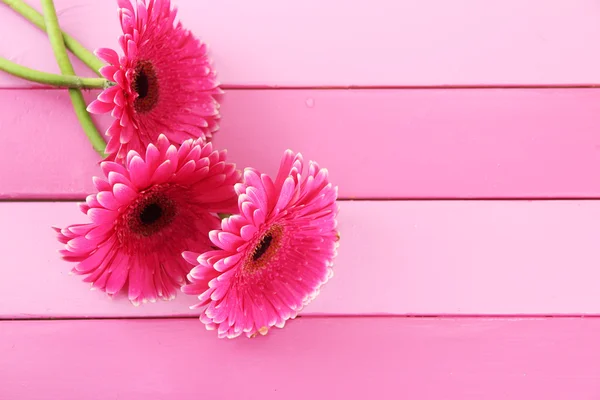 Hermosas flores de gerberas rosadas en mesa de madera púrpura —  Fotos de Stock