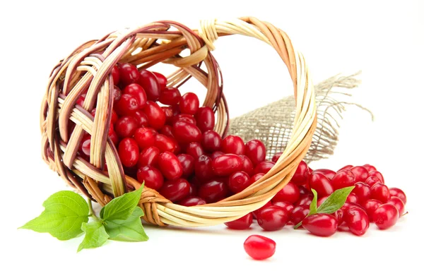 Fresh cornel berries in wicker basket, isolated on white — Stock Photo, Image