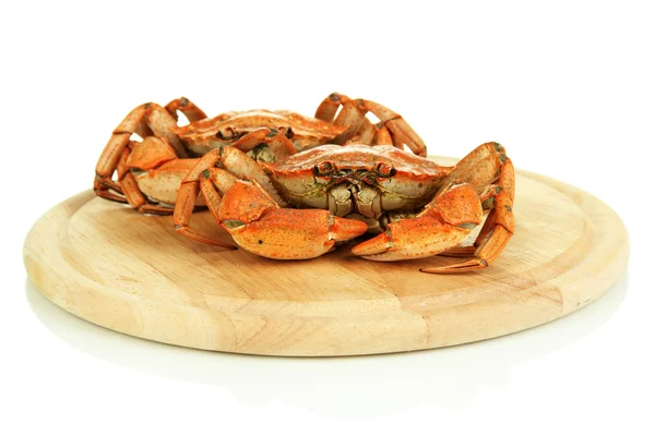 Gekookte krabben op houten bord, geïsoleerd op wit — Stockfoto