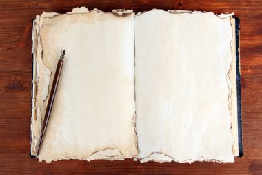 eski kitap ve tükenmez kalem ahşap arka plan üzerine açık