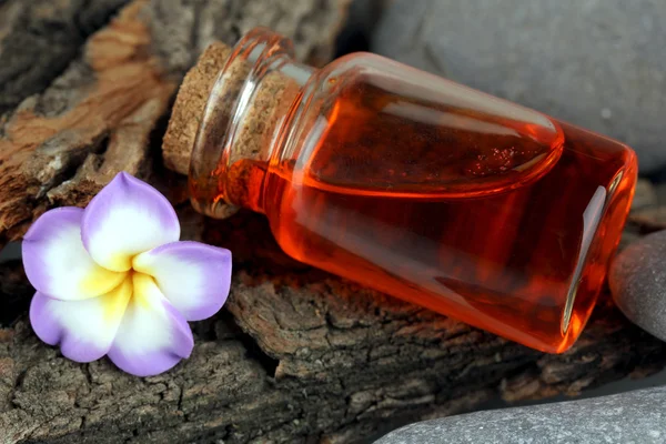 Bottle with basics oil on tree bark and stones close up — Stock Photo, Image