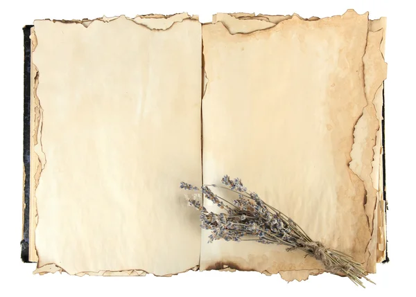 Открыть старую книгу и лаванду изолировать на белом — стоковое фото