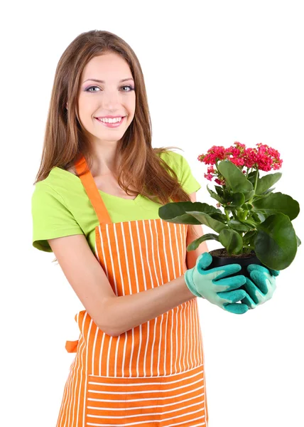 Hermosa chica jardinero con flor aislada en blanco — Foto de Stock