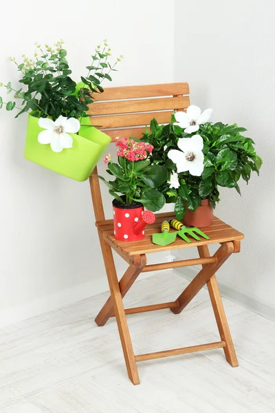 Many beautiful flowers on chair in room close-up — Stock Photo, Image