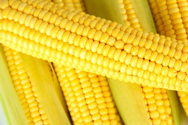 Crude corns close-up — Stock Photo, Image