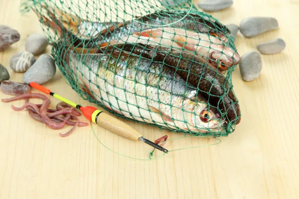 Fische im Fischernetz auf Holzgrund — Stockfoto