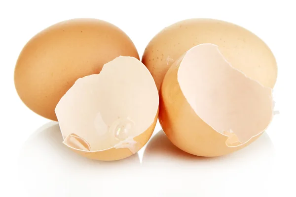 Hnědá vejce izolovaných na bílém — Stock fotografie