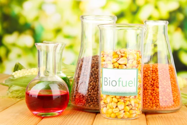 Conceptual photo of bio fuel. On bright background — Zdjęcie stockowe