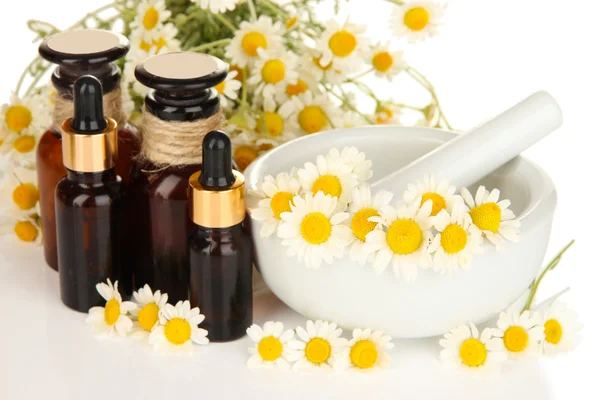 Essential oil and chamomile flowers in mortar close up — Stock Photo, Image