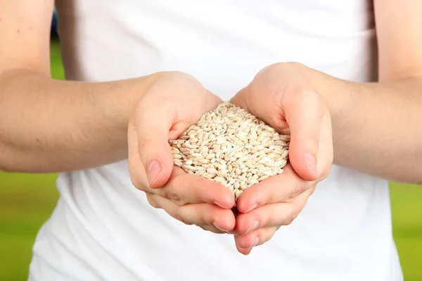 Wheat grain in female hands on natural background — Stock Photo, Image