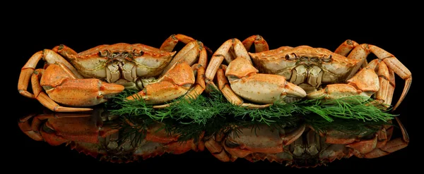 Boiled crabs isolated on black — Stock Photo, Image