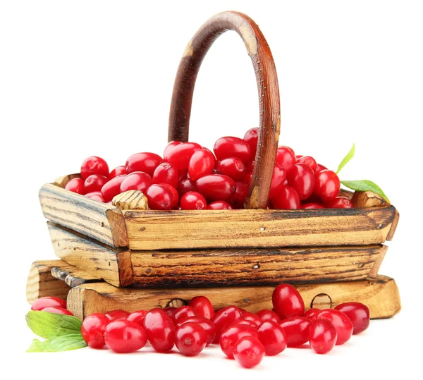 Fresh cornel berries in wooden basket, isolated on white — Stock Photo, Image