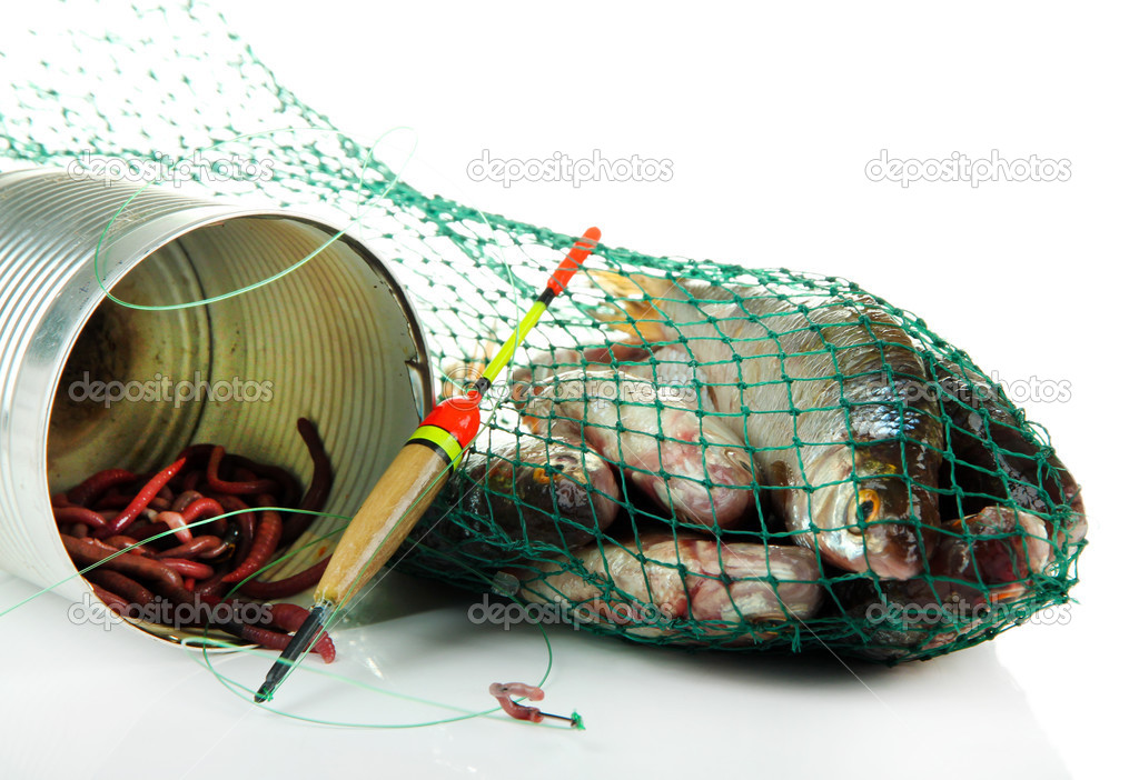 Fishes in fishing net isolated on white