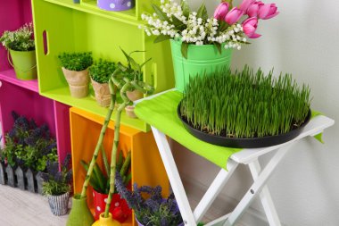 renkli raf ve dekoratif öğeler ve çiçekler ile tablo