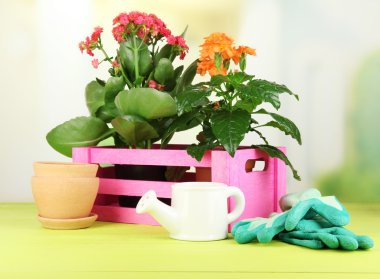 Tencere doğal zemin üzerine ahşap masa üzerine güzel çiçekler